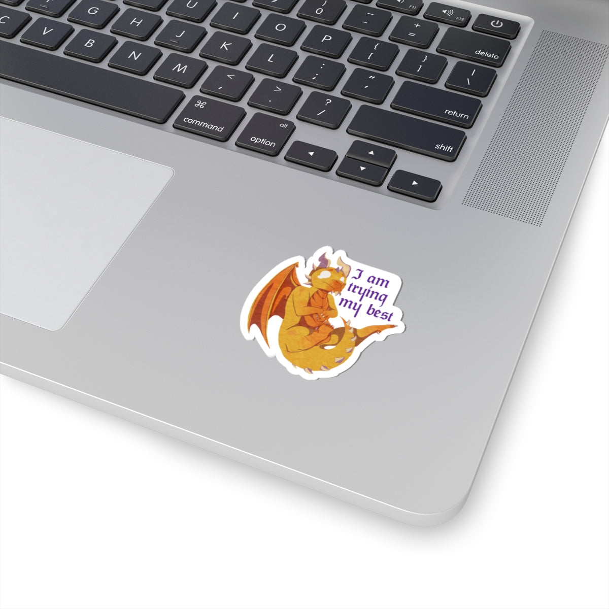 Sticker - "I Am Trying My Best" - Ravi Quote