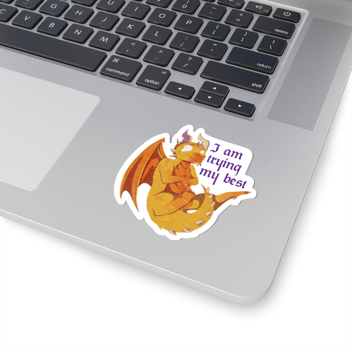 Sticker - "I Am Trying My Best" - Ravi Quote